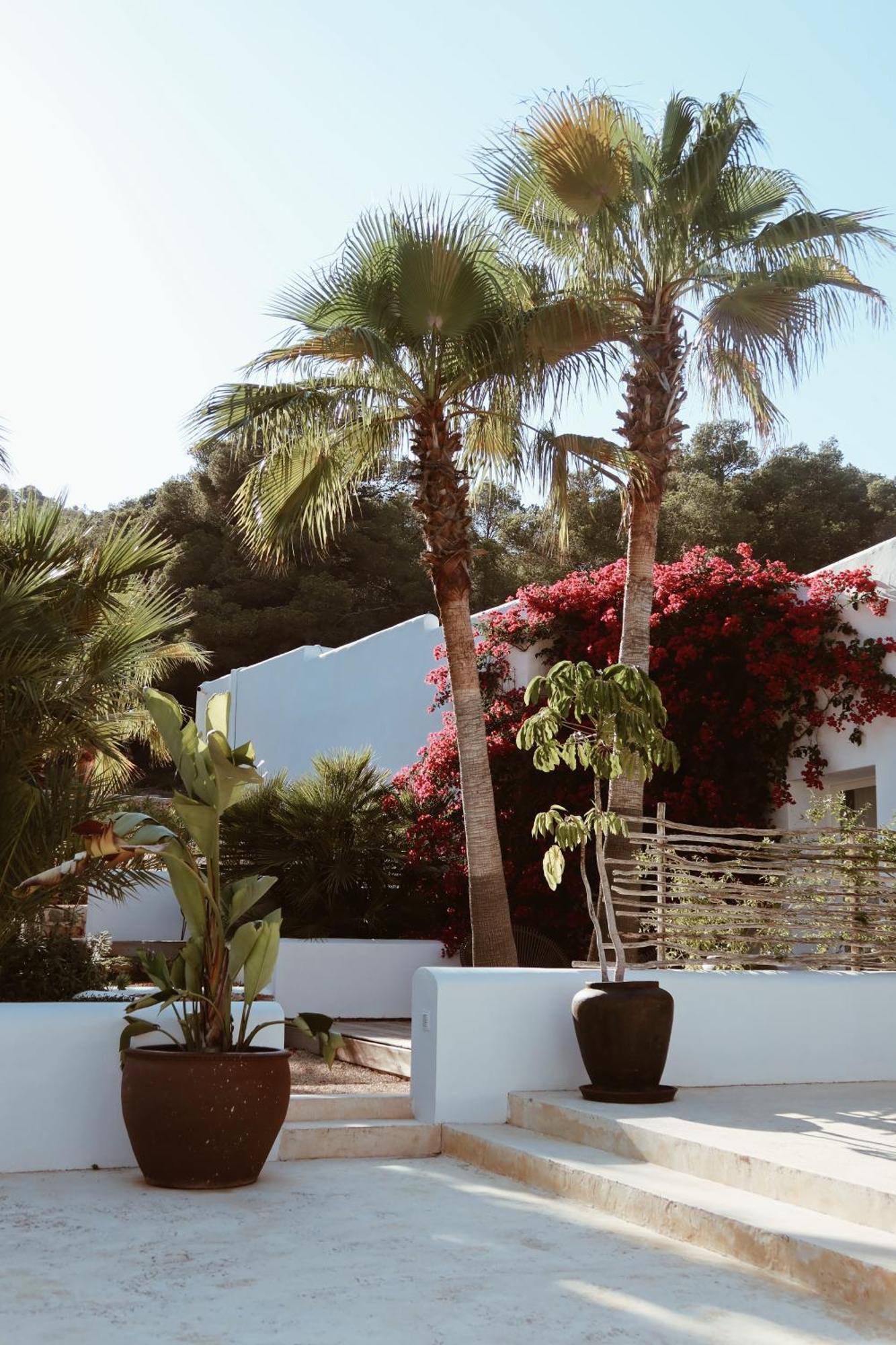 Pure House Ibiza Otel Sant Jordi de ses Salines Dış mekan fotoğraf