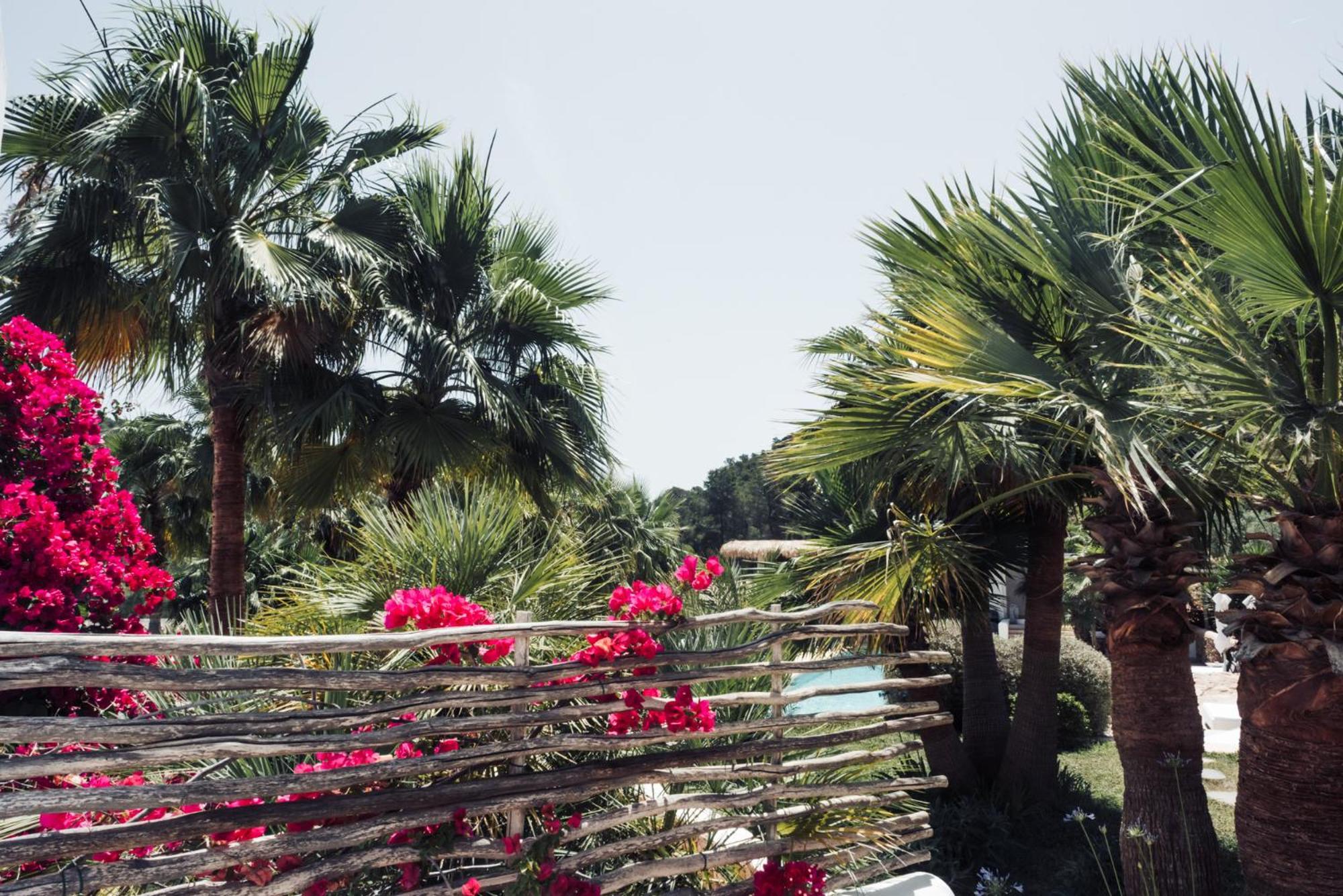 Pure House Ibiza Otel Sant Jordi de ses Salines Dış mekan fotoğraf