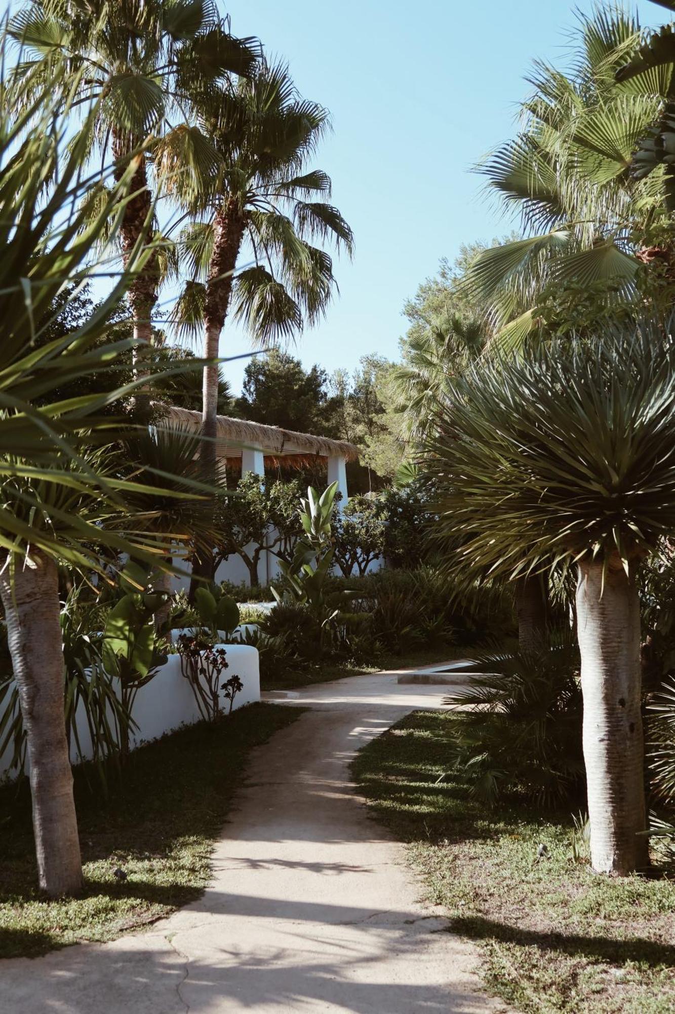 Pure House Ibiza Otel Sant Jordi de ses Salines Dış mekan fotoğraf